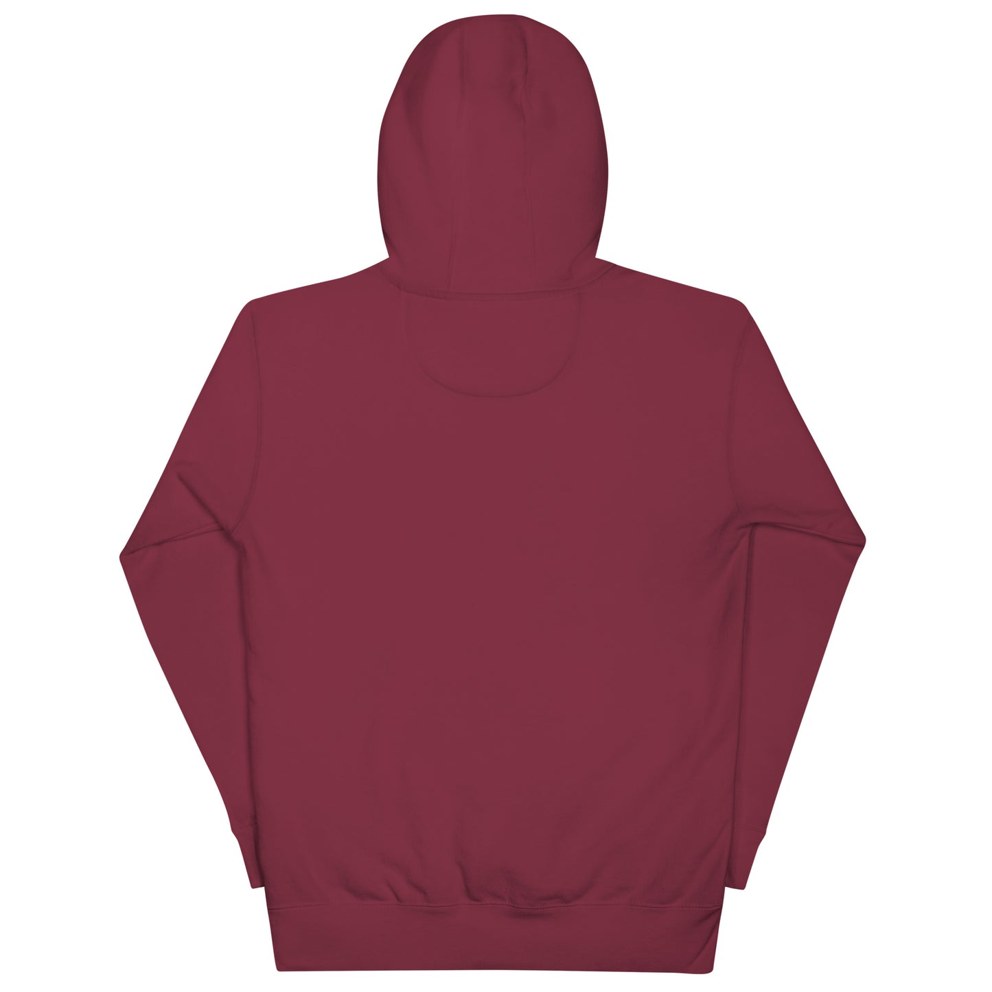 RIZING FEENIXX™ PREMIUM HOODIE PRINTED DESIGN IN MULTIPLE COLORS