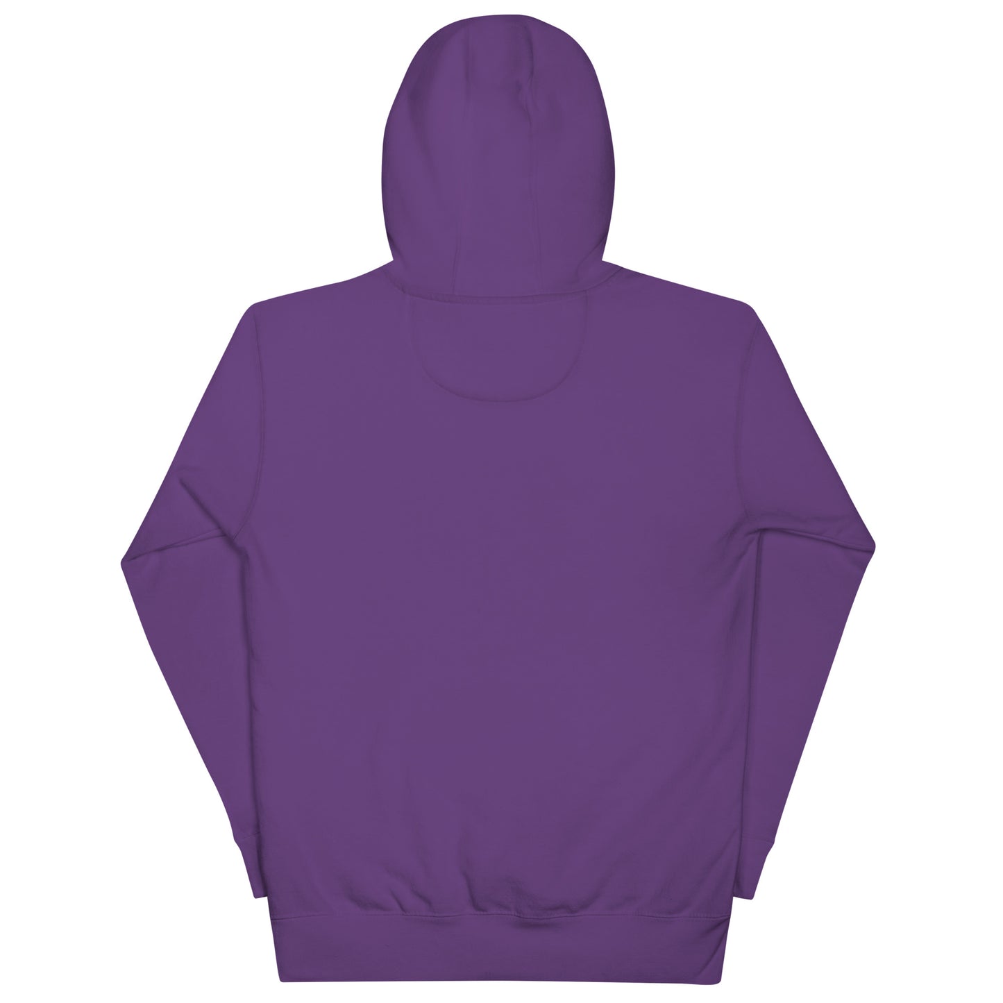 RIZING FEENIXX™ PREMIUM HOODIE PRINTED DESIGN IN MULTIPLE COLORS